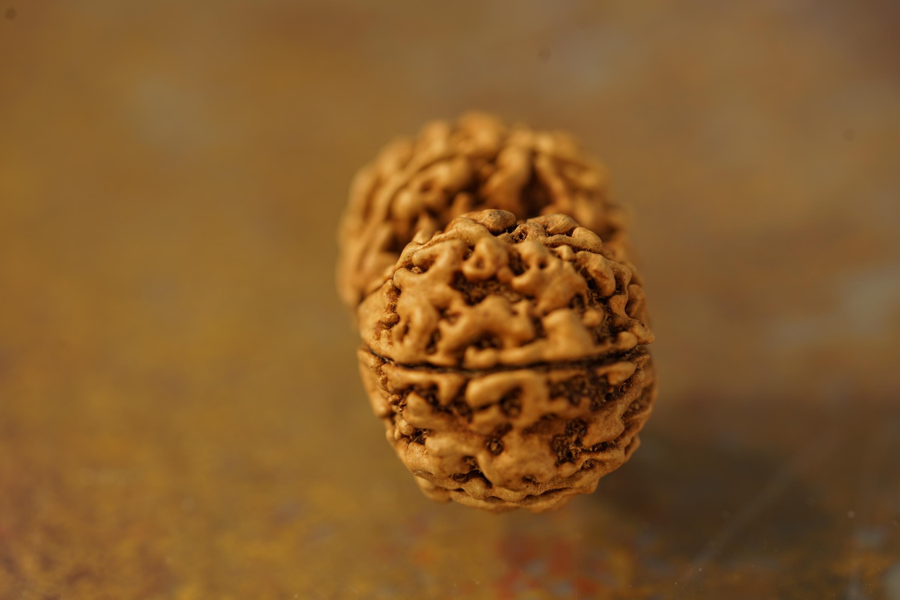 ✰︎‪ 琥珀 ✰ ✰︎　ルドラクシャマーラー　トップガウリシャンカラ　④ ガウリ・シャンカール・ルドラクシャ・ビーズ・エイト・ムキ