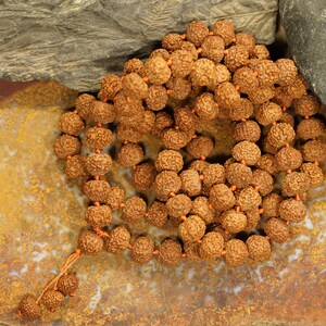Seven Mukhi Rudraksha Mala | Seven Face Rudraksha Mala | 13-14mm | 7 Mukhi Mala Beads | Indonesian 7 Mukhi | 7 Face Rudraksha Mala | 3562
