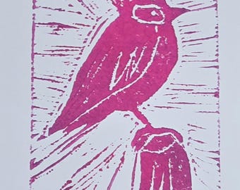 Stellar's Jay Linoldruck