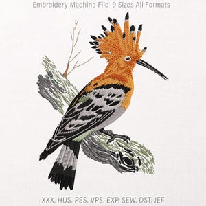 Puede incluir: Un archivo de bordado a máquina con una abubilla de cresta naranja, alas negras y blancas y un pico largo, posada sobre una rama. El texto dice: Embroidery Machine File 9 Sizes All Formats y XXX. HUS. PES. VPS. EXP. SEW. DST. JEF.