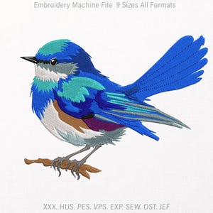 Vibrant Blue Wren Bird Branch Embroidery Design | Colorful Wildlife Avian Patch, Nature Songbird Machine Embroidery Pattern File