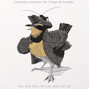 May include: An embroidery machine file design featuring a bird wearing a dark gray pirate hat and coat with a yellow chest. A small black insect sits on the hat. Text at the top reads Embroidery Machine File 9 Sizes All Formats and at the bottom XXX. HUS. PES. VPS. EXP. SEW. DST. JEF.