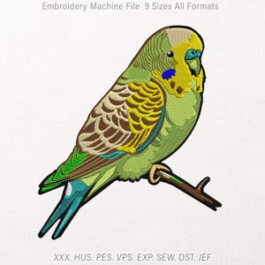 May include: An embroidery machine file design featuring a green, yellow, and brown budgerigar perched on a brown branch. The text at the top reads Embroidery Machine File 9 Sizes All Formats, and the bottom lists XXX, HUS, PES, VPS, EXP, SEW, DST, JEF.