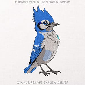 May include: An embroidery machine file design of a blue jay bird with a bright blue crest, grey chest, and black beak. The text at the top reads Embroidery Machine File 9 Sizes All Formats, and the bottom text lists XXX, HUS, PES, VPS, EXP, SEW, DST, JEF.
