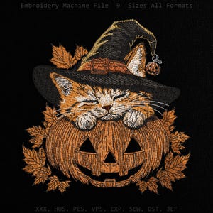 Diseño de bordado de calabaza con gato naranja de Halloween, gatito durmiendo, sombrero de bruja, parche, hojas de otoño, archivo de puntada de máquina de animales