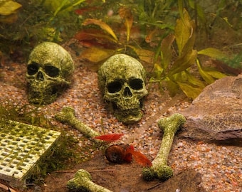 Skeleton decor for Aquarium, Fish and Shrimp, Horror Theme.