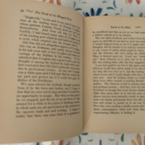 Livre vintage, The Trail Of The Ragged Fox par Pitt L. Fitzgerald, imprimé en 1930, livre de collection image 7