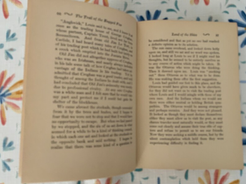 Livre vintage, The Trail Of The Ragged Fox par Pitt L. Fitzgerald, imprimé en 1930, livre de collection image 7