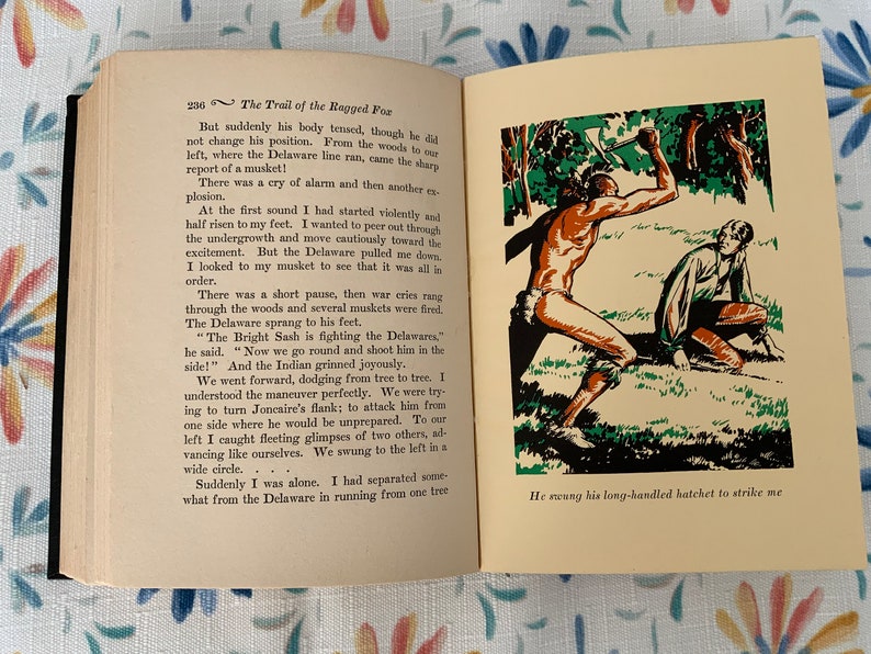 Livre vintage, The Trail Of The Ragged Fox par Pitt L. Fitzgerald, imprimé en 1930, livre de collection image 10