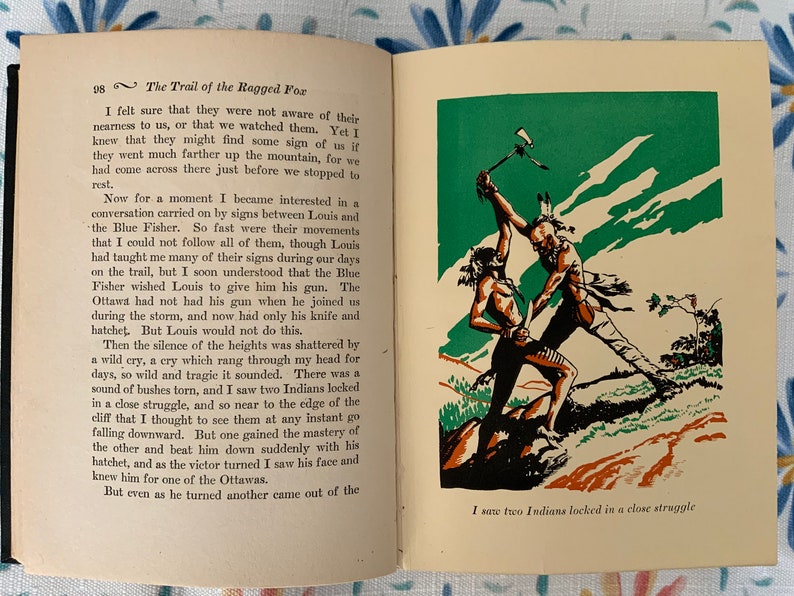 Livre vintage, The Trail Of The Ragged Fox par Pitt L. Fitzgerald, imprimé en 1930, livre de collection image 9