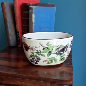 May include: A cream-coloured ceramic bowl featuring a botanical illustration of blackberry vines, green leaves, small pink flowers, butterflies, and a dragonfly. The bowl has a thin dark red rim and a matching dark red base, showcasing detailed artwork.