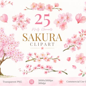 Clipart Japanse kersenbloesem, Sakura PNG-bundel, 25 aquarel kersenbloesemelementen, commercieel gebruik