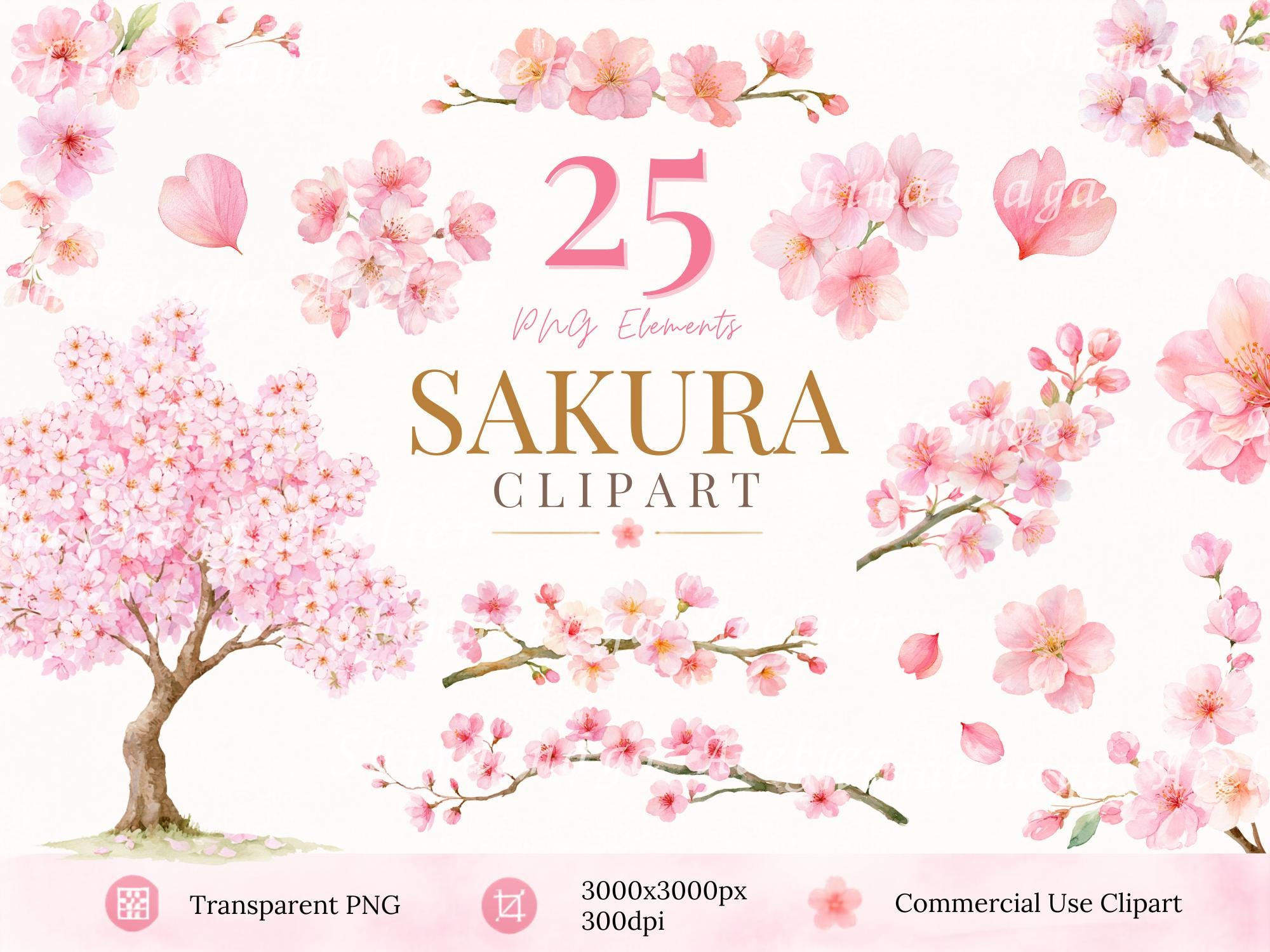Sakura - Etsy