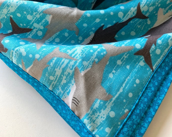 The Shark Dog Bandana (Jumbo Size)