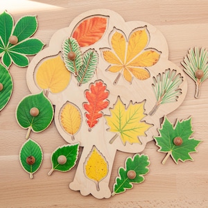 Könnte beinhalten: Ein baumförmiges Holzpuzzlebrett mit Aussparungen für verschiedene Blattformen. Das Set enthält mehrere einzelne Holzblattteile, die jeweils mit einem kleinen runden Griffknopf versehen sind und realistische Abbildungen von grünen, gelben und orangefarbenen Blättern zeigen.