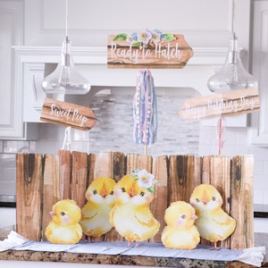 Puede incluir: Un fondo de valla de madera con cinco pollitos amarillos y tres letreros de madera. Los letreros dicen "Ready to Hatch", "Sweet Peep" y "Happy Hatching Day".