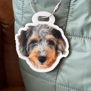 Custom Pet Photo Luggage Tag | Personalized Pet Luggage Tag | Kids Backpack Tag | Custom Bag Tag | Travel Accessory | Dog Tag | Cat Shaped
