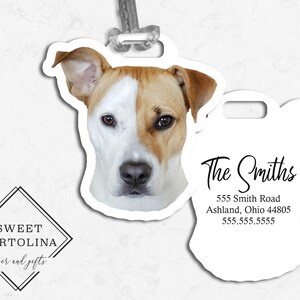 May include: A white and tan dog tag with a photo of a dog's face. The tag has the text "The Smiths" and an address and phone number. The tag is attached to a gray string. The Sweet Cartolina logo is in the lower left corner.