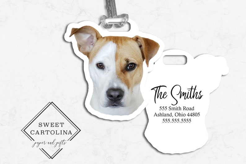 May include: A white and tan dog tag with a photo of a dog's face. The tag has the text "The Smiths" and an address and phone number. The tag is attached to a gray string. The Sweet Cartolina logo is in the lower left corner.