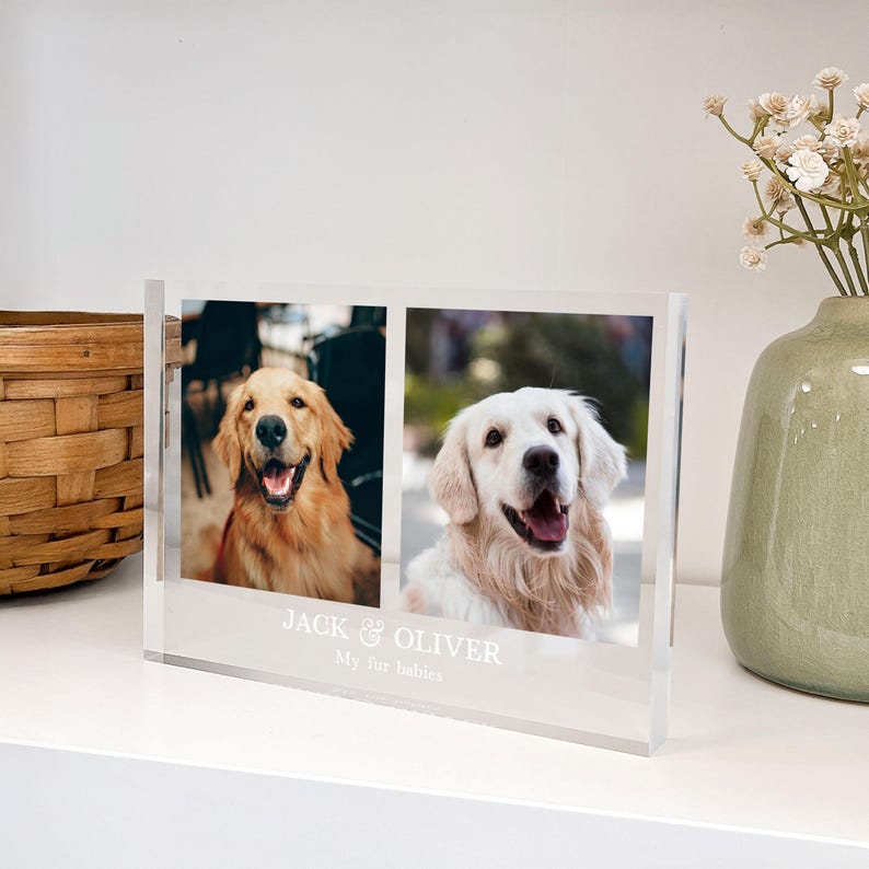 May include: Clear acrylic photo frame with two dog portraits. The frame has the text "JACK & OLIVER My fur babies" at the bottom. The dogs are golden retrievers, one with a golden coat and the other with a cream coat.