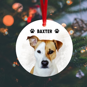 Personalized Watercolor Pet Portrait Ornament | Custom Pet Photo Ornament | Pet Memorial | Pet Keepsake | Pet Ornament with Name