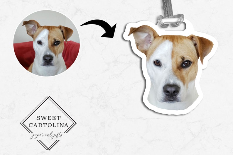 May include: A dog-shaped ornament with a white and tan face, featuring a split color pattern. The ornament has a white border and a silver-colored string for hanging. The image also includes a circular photo of the dog and the Sweet Cartolina logo.