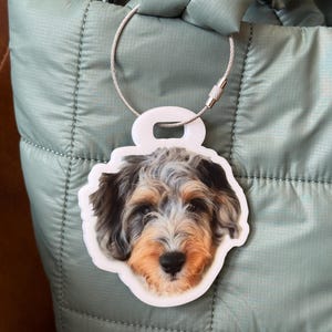 May include: A white dog tag with a wire loop and a detailed image of a dog's face. The dog has brown, black, and tan fur. The tag is attached to a light green quilted tote bag.