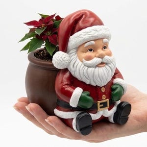 May include: A ceramic Santa Claus figurine holding a brown pot with a poinsettia plant. The Santa figure is dressed in a red suit with white trim, a black belt, and green gloves. The poinsettia has red bracts and green leaves.