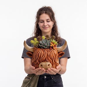 Suckulentkruka med höglandskon, rustik 3D-tryckt blomkruka, skrivbordsdekor (STL-fil)