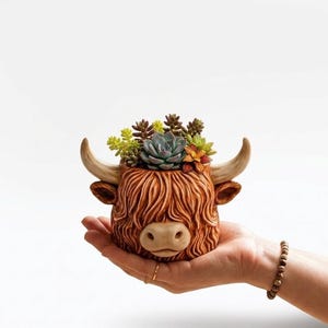 May include: A brown ceramic Highland cow head planter filled with assorted succulents. The planter has detailed fur texture, tan horns, and a light brown nose. The succulents include green, blue-green, and orange-red plants.