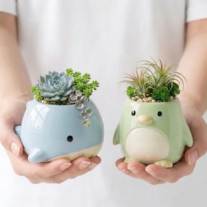 Vasi per piante a forma di pinguino balena (STL) / Porta piante grasse a forma di animale Kawaii (modello per stampa 3D)