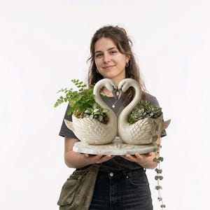 Maceta elegante con forma de pareja de cisnes / Soporte para macetas con forma de corazón y cisnes románticos (modelo STL)