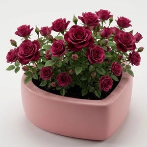 May include: A heart-shaped, light pink planter filled with vibrant, deep red roses and green foliage. The roses are in various stages of bloom, creating a lush, full appearance. The planter is set against a plain white background.