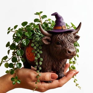 Highland Cow Witch Planter STL | Halloween Succulent Pot 3D Print File (Digital Download)