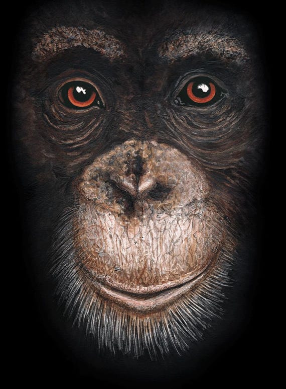 Limited Edition Giclée Print – Expressive Wildlife Wall Art