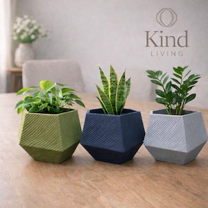 May include: Three geometric planters in shades of green, navy, and gray, each holding a different houseplant. The planters have a textured, diagonal stripe design. The Kind Living logo is visible in the background.