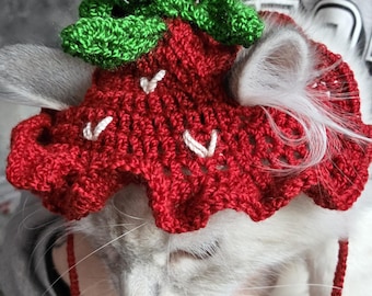Cappello a forma di fragola per cani e gatti