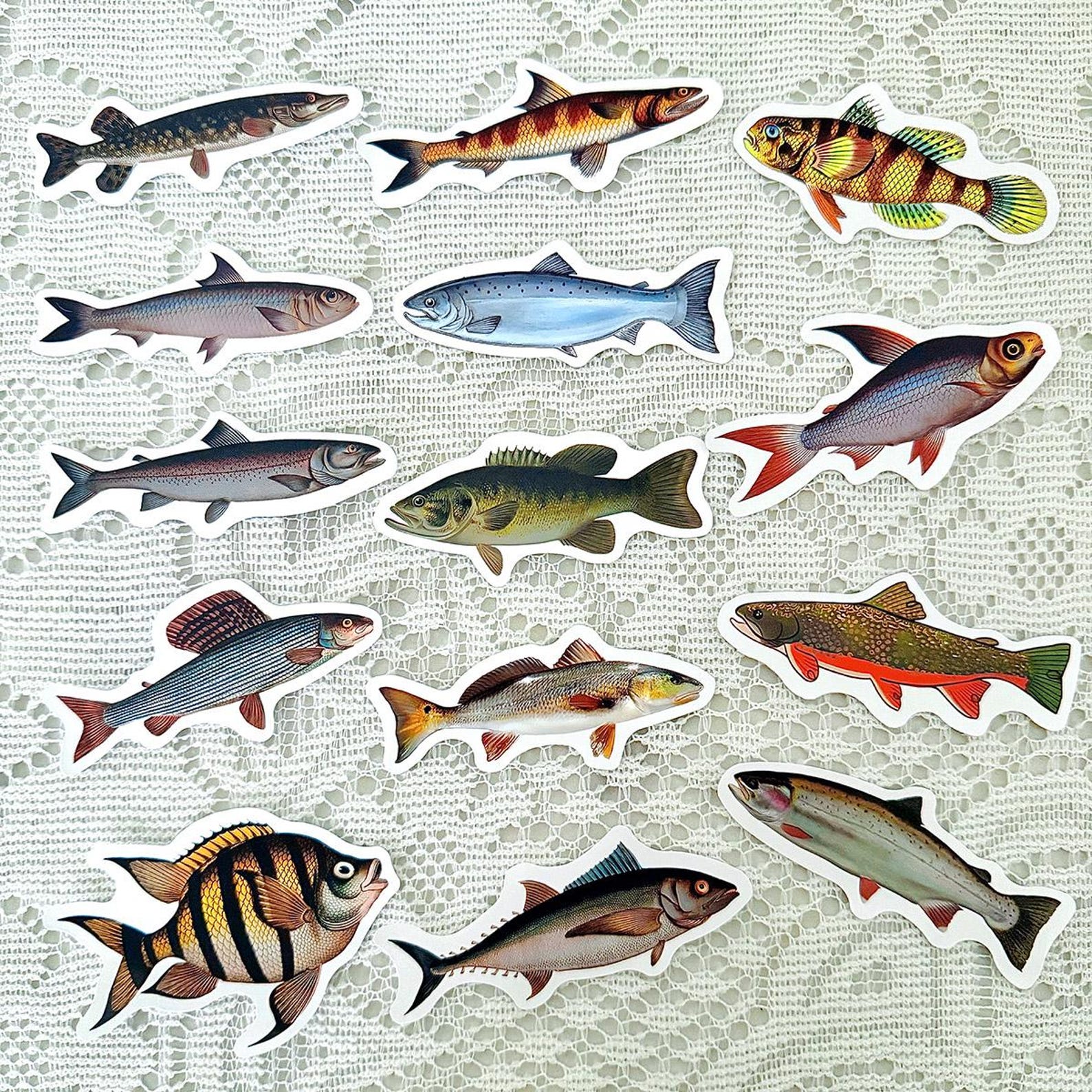 Fish Sticker Pack, Realistic Freshwater Saltwater Fish Stickers for ...