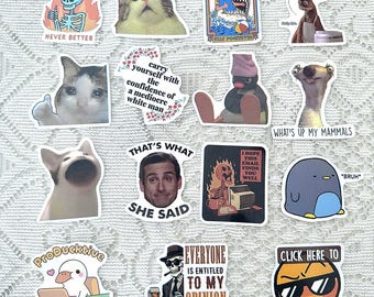 Confezione da 50 adesivi divertenti con meme di animali, decalcomanie umoristiche caotiche e bizzarre per laptop, diario, agenda, borraccia e album di ritagli, adesivi virali e carini