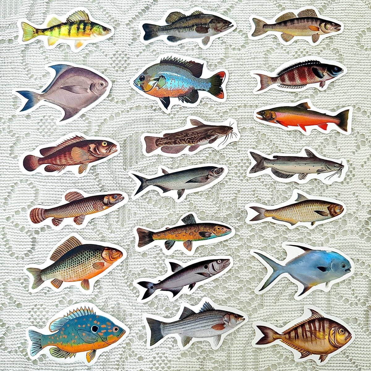 Science Fish Sticker Fish Sticker Pack, Realistic Freshwater Saltwater Fish Stickers for ...