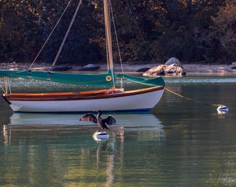 Port Quissett, Woods Hole, Cape Cod