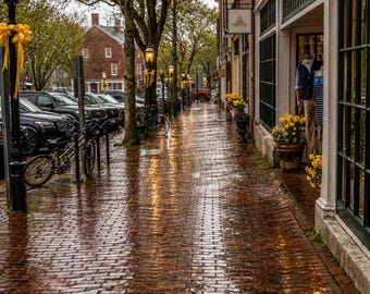 Widok ulicy w deszczowy wiosenny wieczór na Nantucket