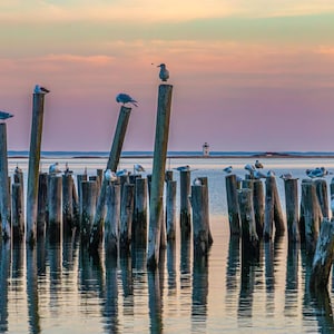 Op de afbeelding: Een serene kustscène bij zonsondergang. Houten palen steken in kalm water, met talrijke zeemeeuwen erop. De lucht gaat over van roze naar oranje, weerspiegeld in het water. Een vuurtoren is in de verte zichtbaar.