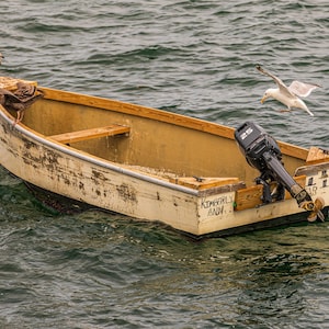 Op de afbeelding: Een kleine, verweerde houten boot drijft op het water, met een vliegende zeemeeuw in de buurt. De boot heeft een motor en de naam "Kimberly Ann" is zichtbaar. Twee zeemeeuwen zitten op de boot.