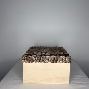 Peut inclure: Une boîte rectangulaire en bois clair. Le bord supérieur est orné d'une bordure décorative composée de petits éléments texturés bruns et gris. La boîte est posée sur une surface blanche.