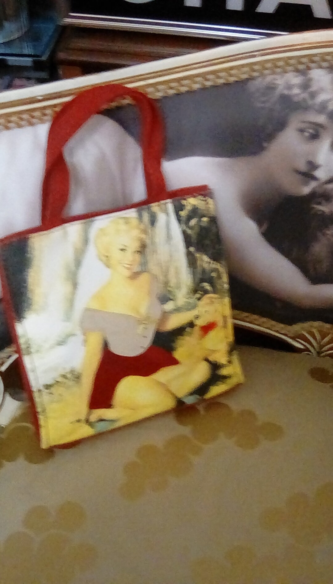 Pin up Bag. Country Girl With Dog. Great Lunch Bag. Etsy