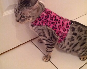 Cat Walking Jacket Harness by Land O/' Burns Bengals BLUE CAMOUFLAGE Made To Order PERSONALISED