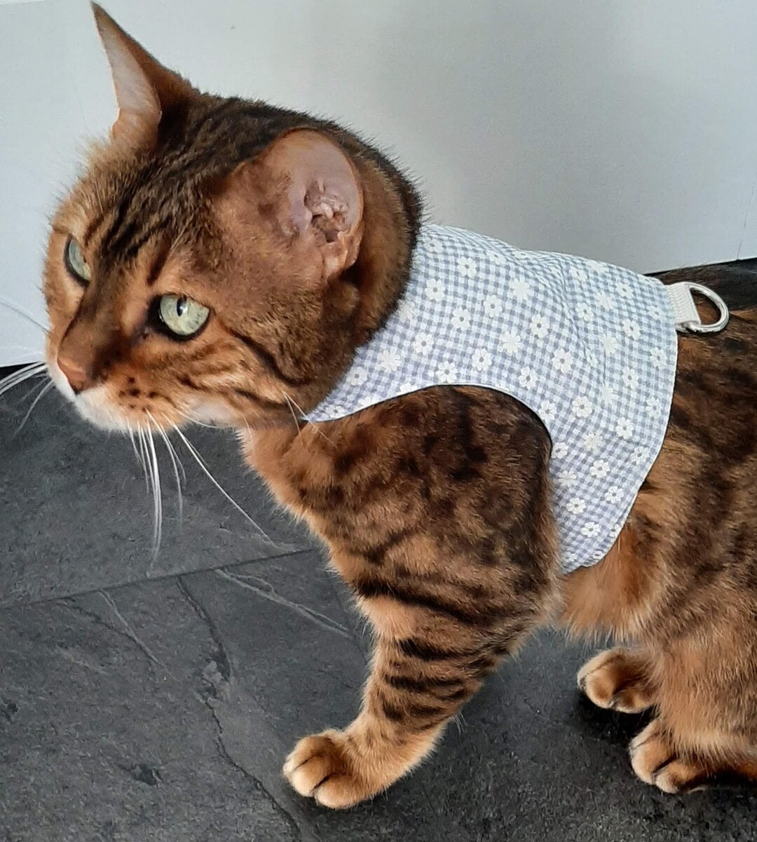 Custom Made to Order - Cat Harness / Walking Jacket by Land O' Burns ...