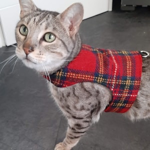 HARRIS TWEED Limited Edition- Ready Made - Cat Harness / Walking Jacket by Land O' Burns Bengals in Royal Stewart TARTAN - Limited Stock