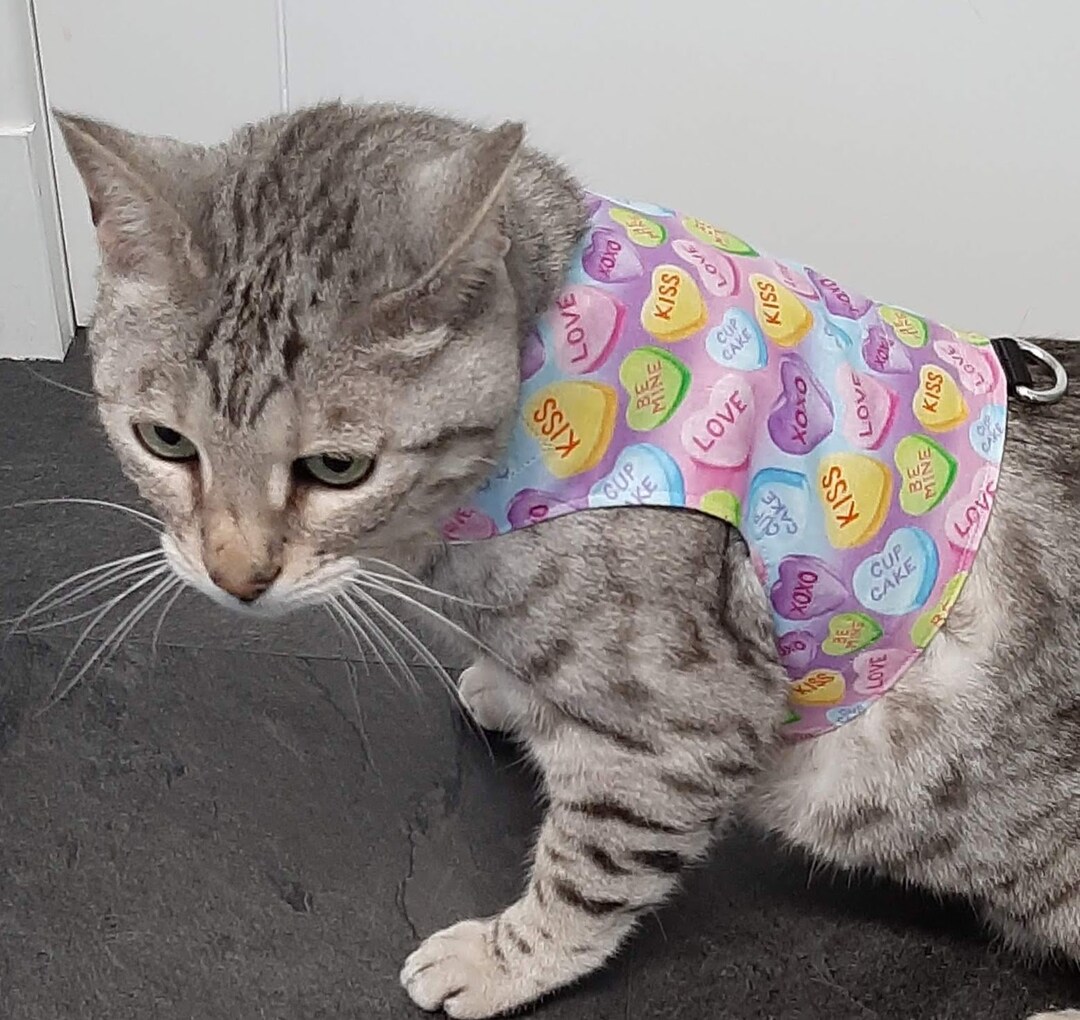 Custom Made to Order Cat Harness / Walking Jacket by Land O' Burns